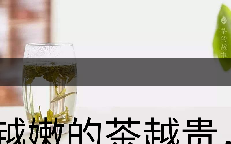 越嫩的茶越貴，但越貴的茶就越好嗎？-2