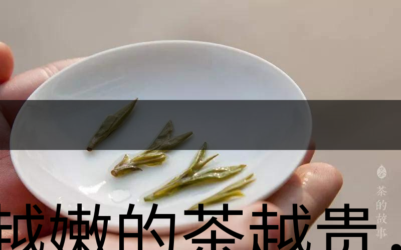 越嫩的茶越貴，但越貴的茶就越好嗎？-3