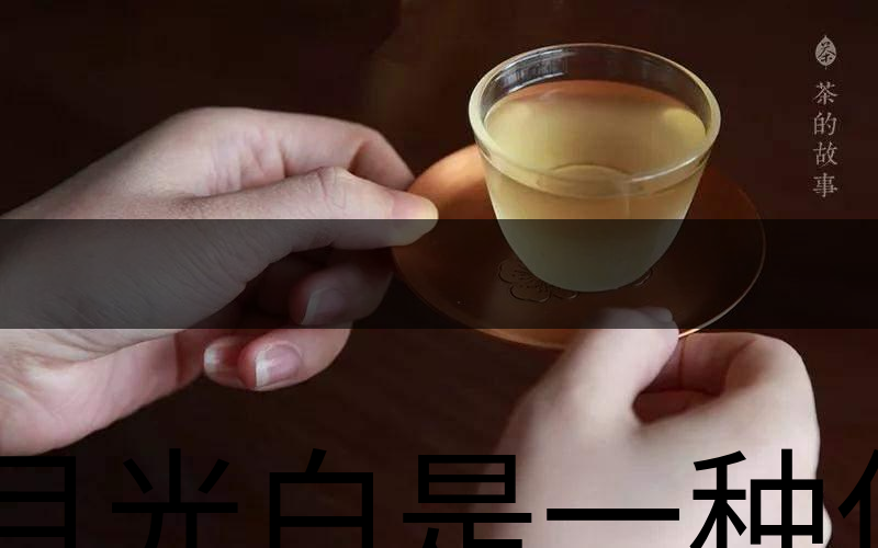 月光白是一種什么茶？-3