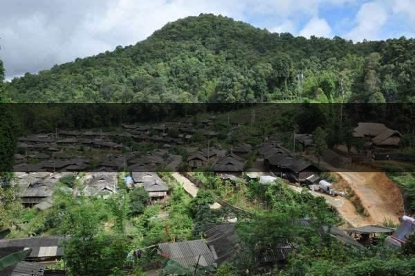 云南省瀾滄縣茶業(yè)概況簡(jiǎn)述（第四章）