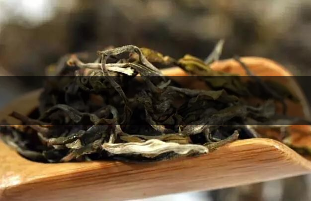 根據(jù)葉底鑒別茶葉的好壞-1-1