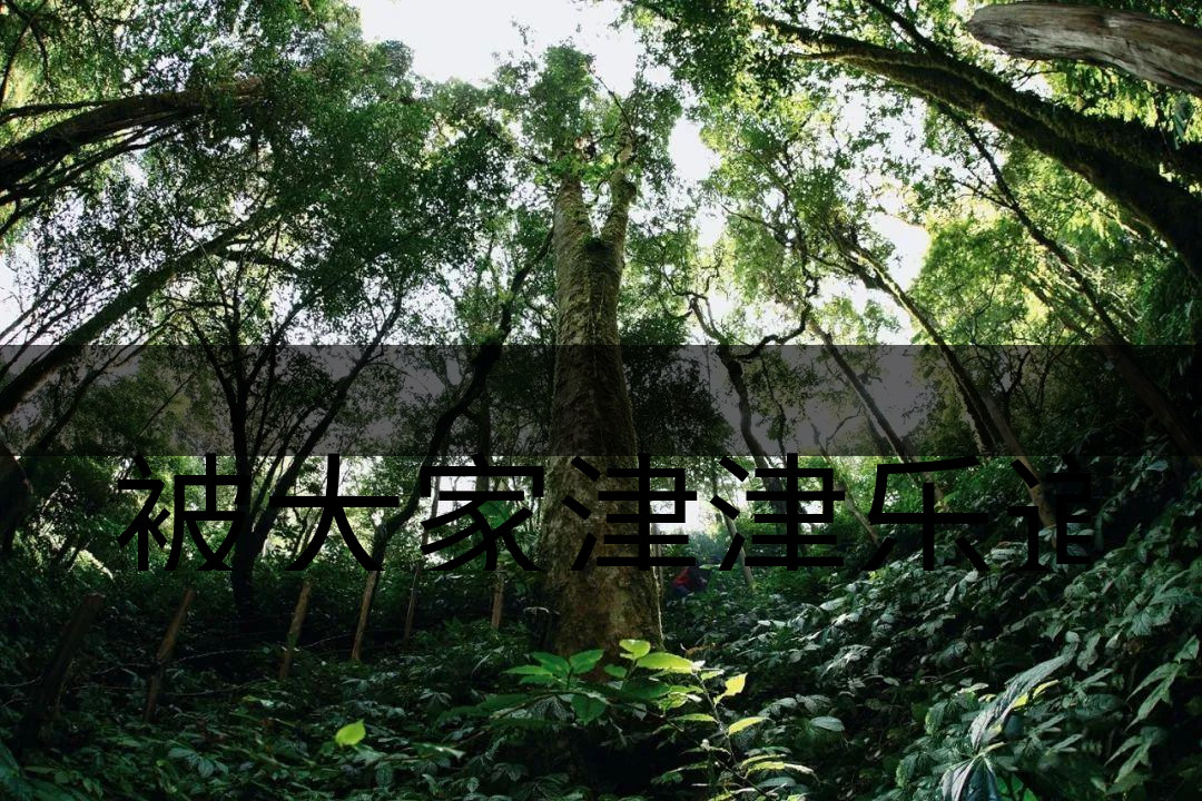 被大家津津樂道的森林茶，你知道是什么？-6-1