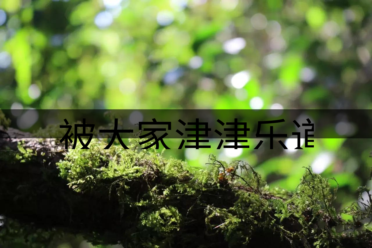 被大家津津樂道的森林茶，你知道是什么？-8-1