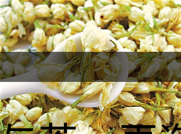 花與茶，再造茉莉之都——福州-1