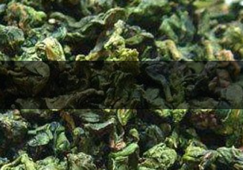 青茶什么時(shí)候泡好-怎么喝減肥-1 青茶什么時(shí)候泡好-怎么喝減肥-1