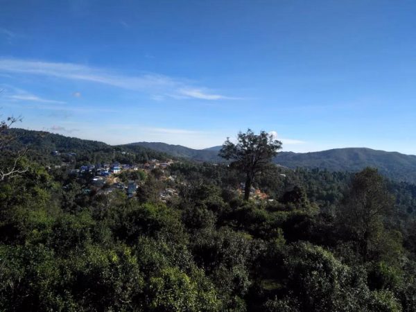 蘭香賀開，甘甜賀開