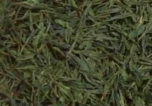 什么是海青茶？沖泡手法詳細教學！