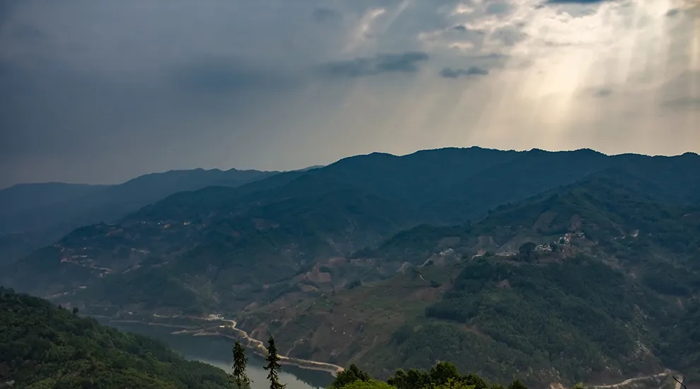 2021年磨烈：風(fēng)頭正勁的后起之秀，到底有何特點(diǎn)？