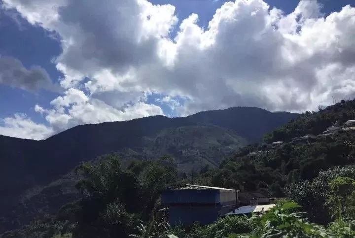 2021年小戶賽古樹(shù)秋茶品鑒報(bào)告