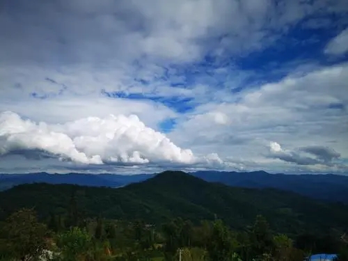 2021年那罕古樹秋茶口感？