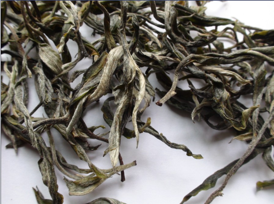 2021年馬鞍山古樹(shù)秋茶價(jià)格？