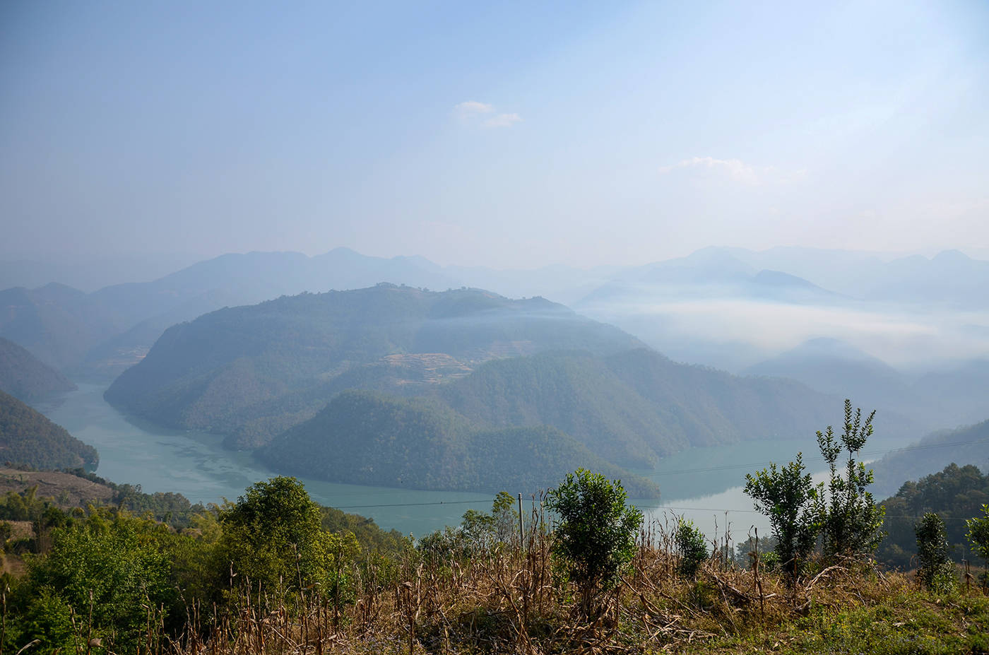 2021年白鶯山古樹(shù)秋茶，佛茶有什么魅力？