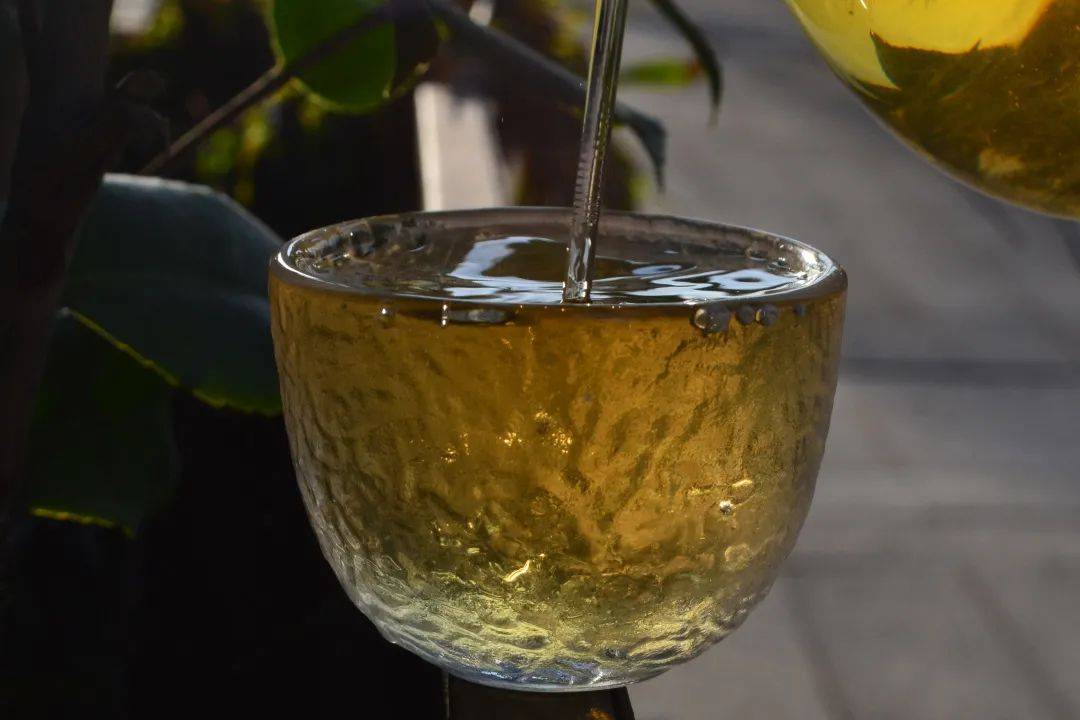 2021班章茶區(qū)壩卡竜古樹秋茶口感是什么？