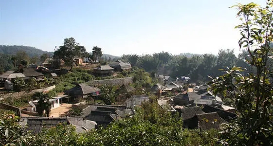 2021年班章茶區(qū)壩卡竜古樹秋茶多少錢一公斤？