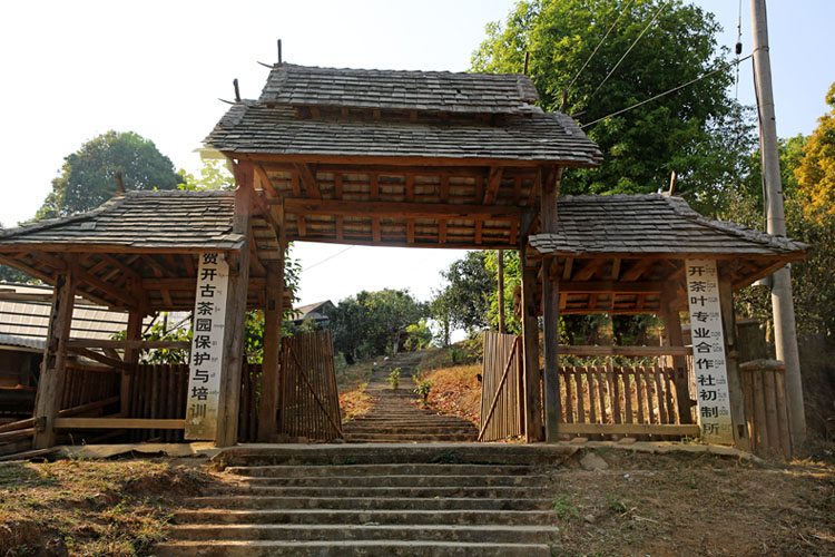 2021年賀開古樹秋茶特點(diǎn)？