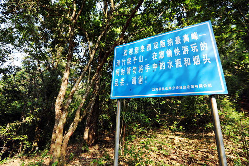 2021年滑竹梁子古樹秋茶價(jià)格？