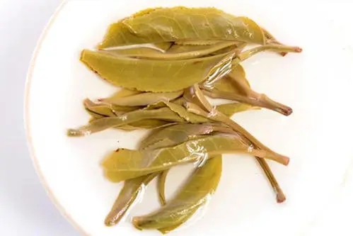 2021年南糯山拔瑪老寨古樹(shù)秋茶多少錢一公斤？