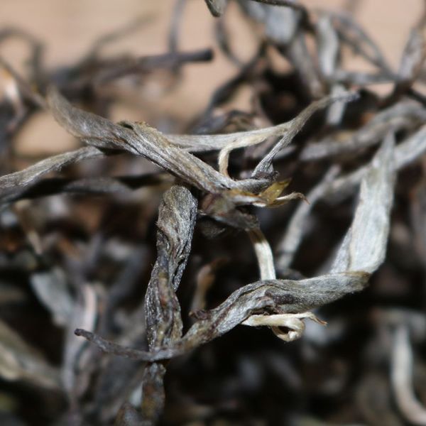 2021年帕沙古樹(shù)秋茶，你了解多少？