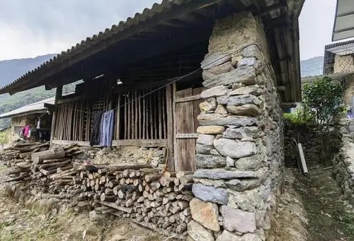 2022年景谷黃草壩古樹春茶特點是什么？