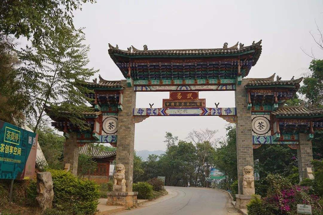 2022年易武正山古樹(shù)春茶特點(diǎn)？