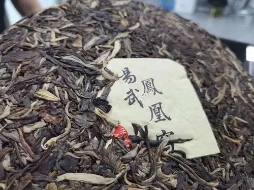 2022年鳳凰窩古樹高桿，鳳凰筑巢的地方