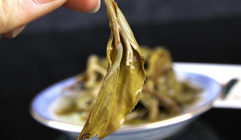 2022年冷水河古樹春茶價(jià)格？