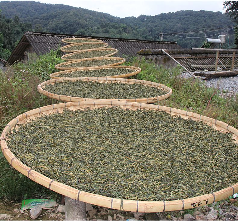 2022年白沙河古樹春茶價(jià)格？