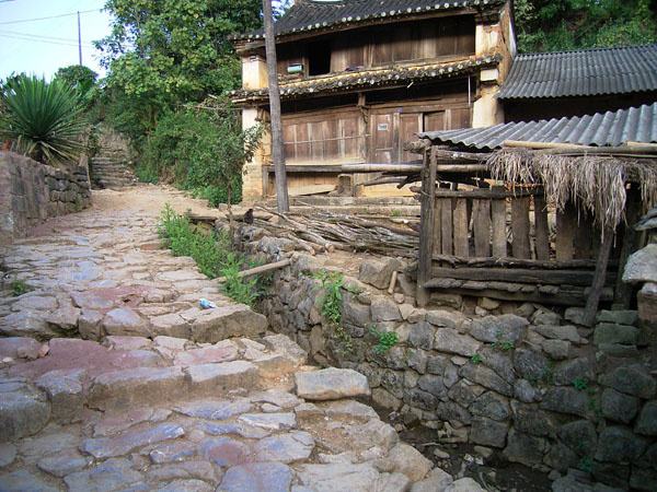 2022年蠻磚古樹春茶特點？