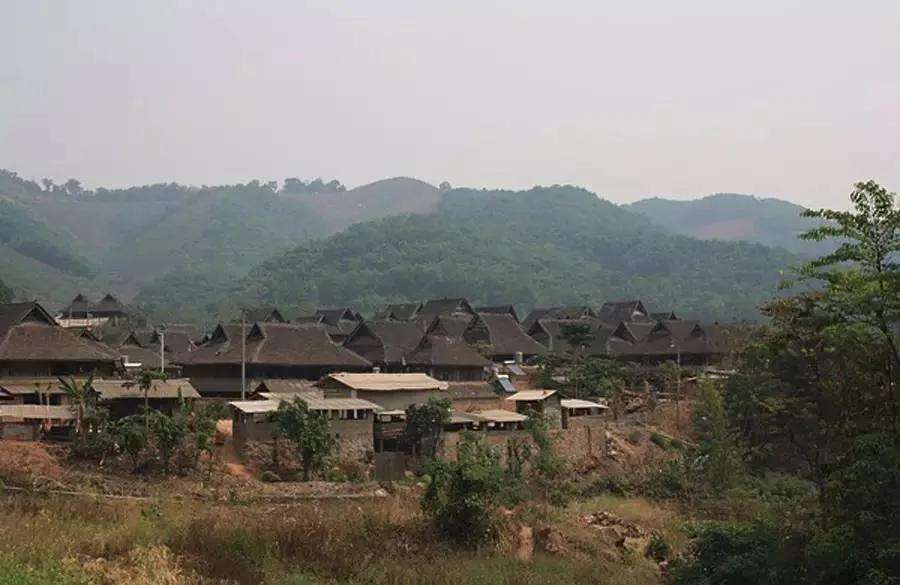 2022年革登古樹春茶特點？