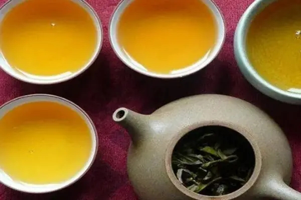 2022年普洱茶怎么泡法才正確？