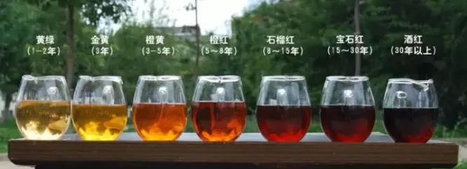 2022年普洱茶的茶湯湯色要怎么描述？