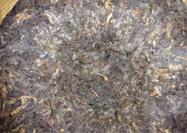 2022年普洱茶受潮發(fā)霉了怎么辦？