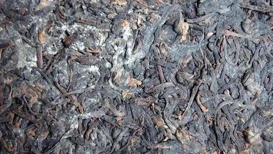 普洱茶怎么樣才算發(fā)霉？