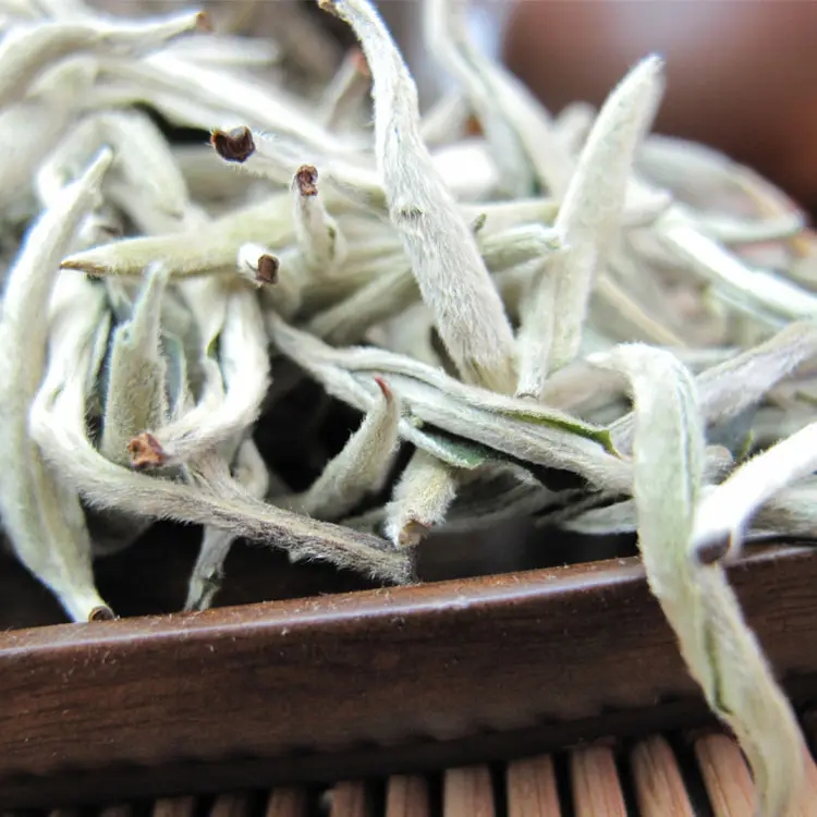 知識|傳說中的云南月光白