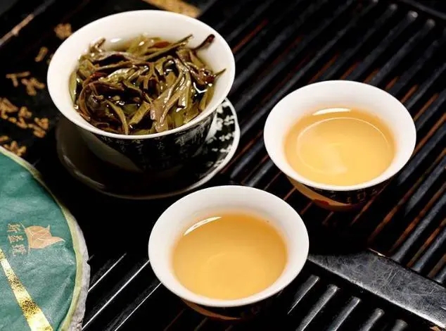 茶會“說話”，讀懂云南古樹普洱茶的秘訣