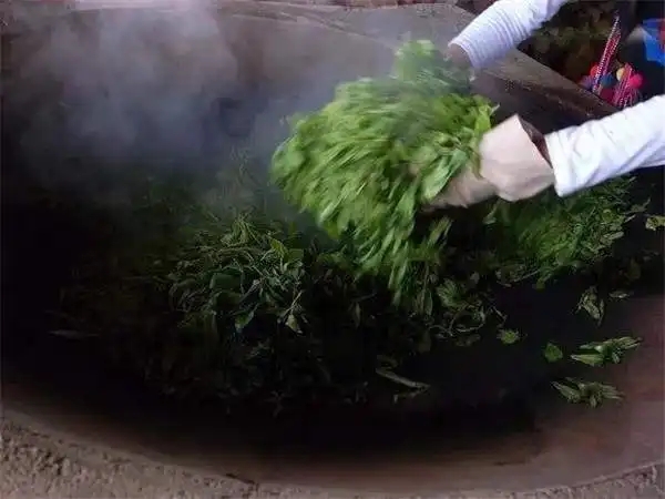 普洱茶為什么要?dú)⑶啵? decoding=