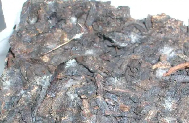 ?普洱茶發(fā)霉了怎么辦？教你妙招應(yīng)對(duì)發(fā)霉的普洱茶！