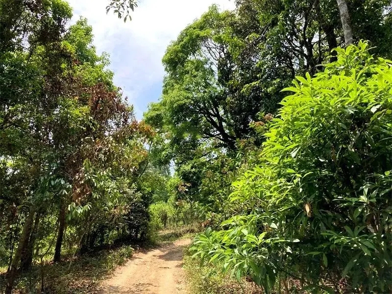 茶山紀(jì)實(shí)：犀牛塘，最近能火是有原因的