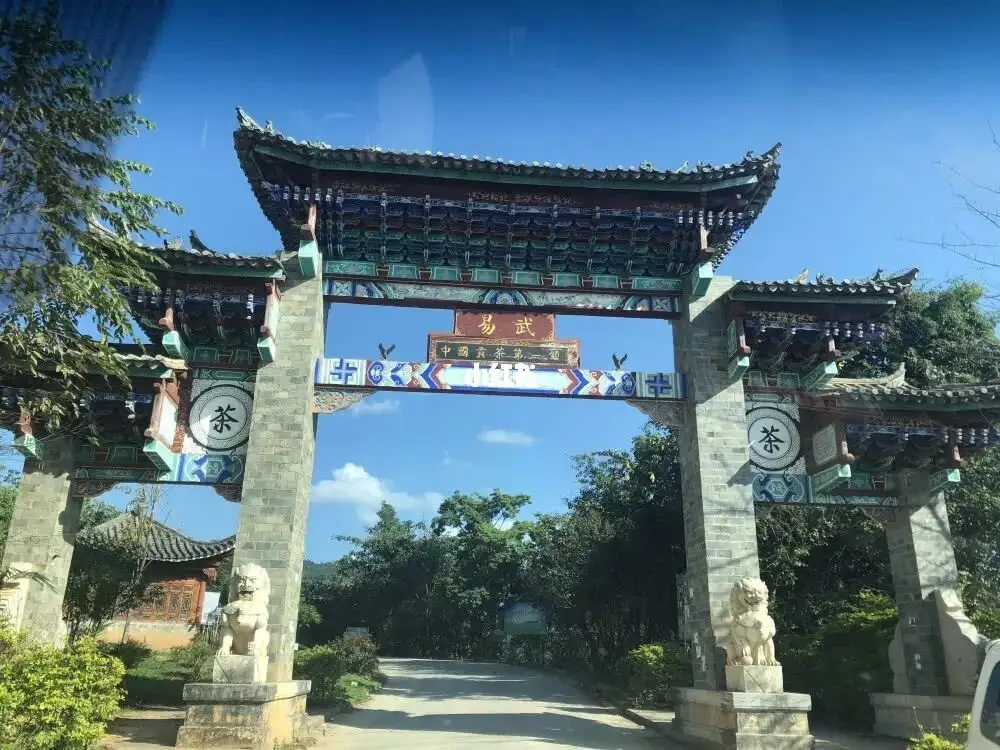 古樹茶年份越老，茶葉就越好嗎？影響茶葉品質(zhì)的因素有哪些？