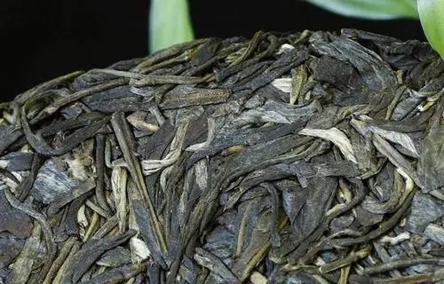 喝普洱茶，一定要喝老茶嗎？