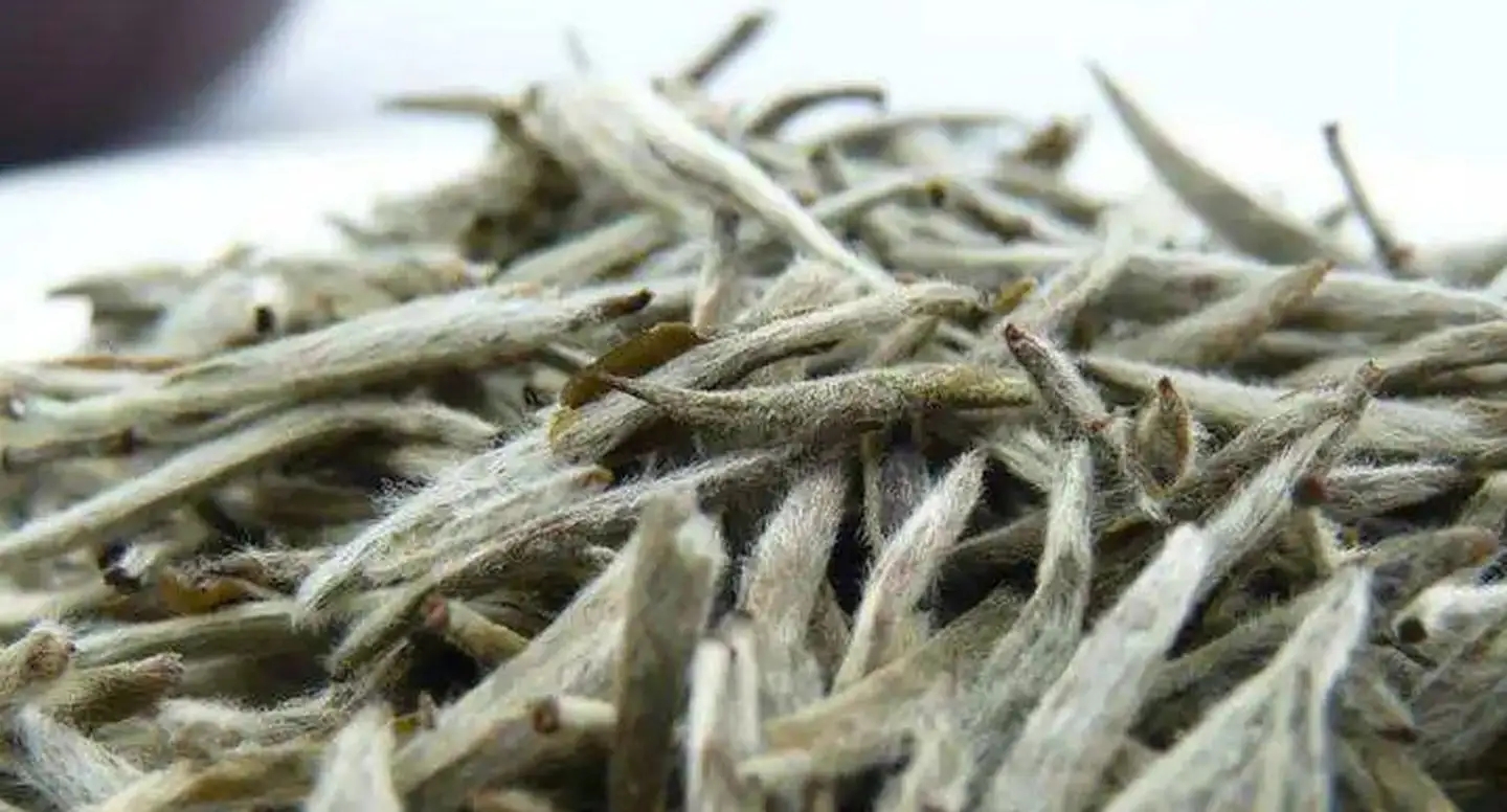 茶毫越多的茶，品質就越高嗎？
