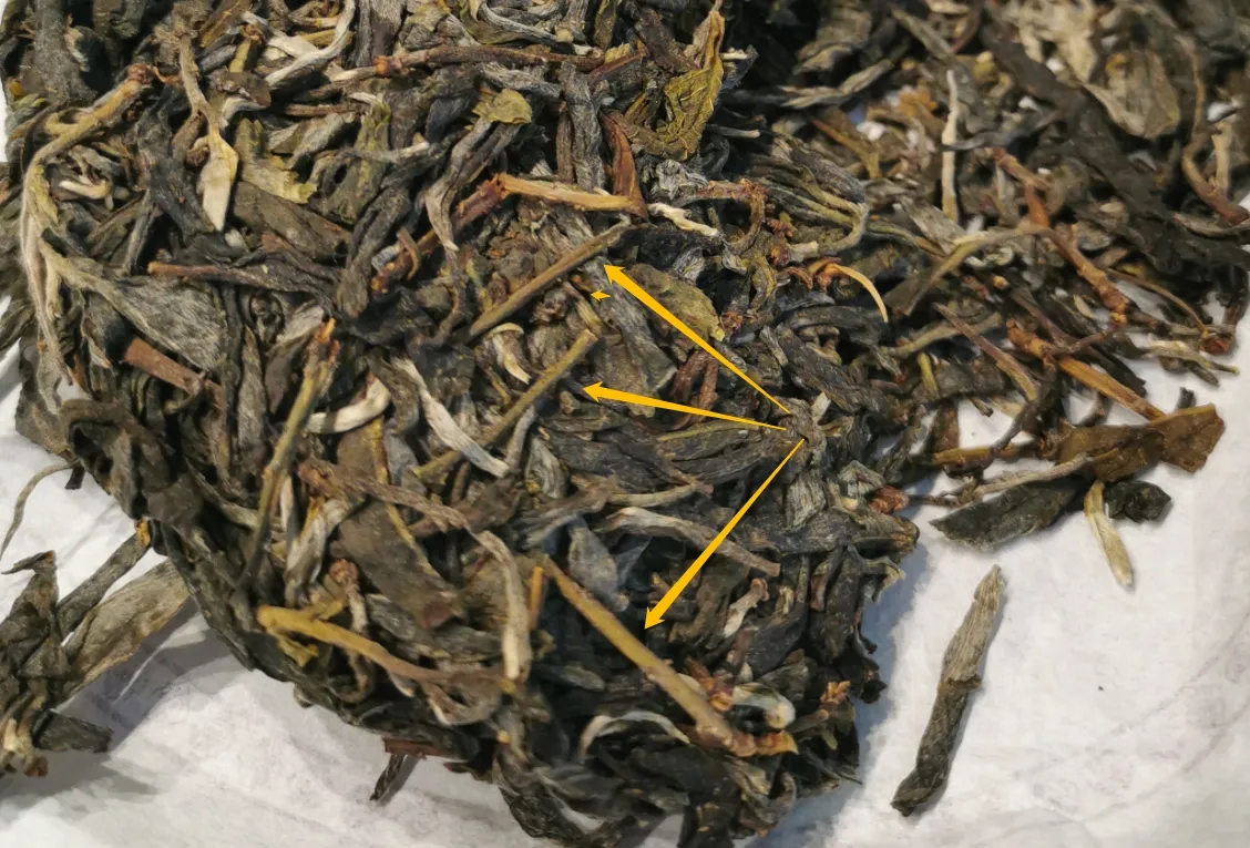 普洱茶的葉底有茶梗，就是茶不好嗎？