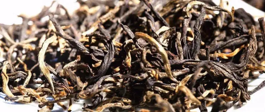 什么是茶氣？茶氣強(qiáng)勁又是一種怎樣的體驗(yàn)？