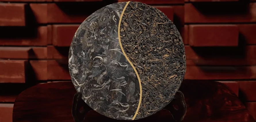 一入普門深似海？入普洱門前，你需要了解這些