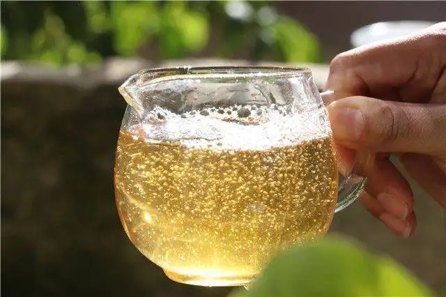 茶顏觀色”，看普洱茶條索里都蘊(yùn)含著怎樣的“密碼”？