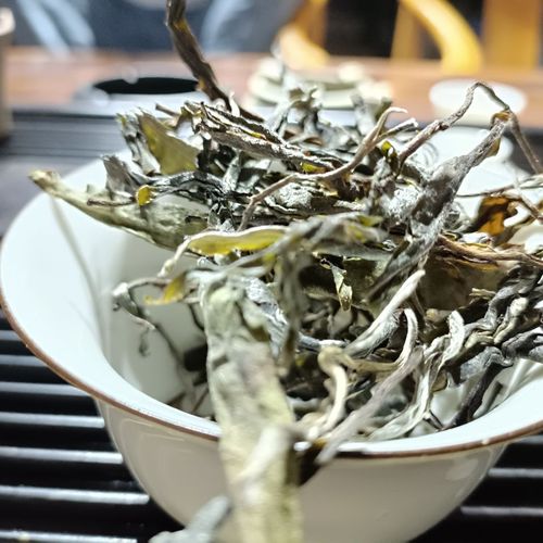 走進臨滄勐庫茶區(qū)