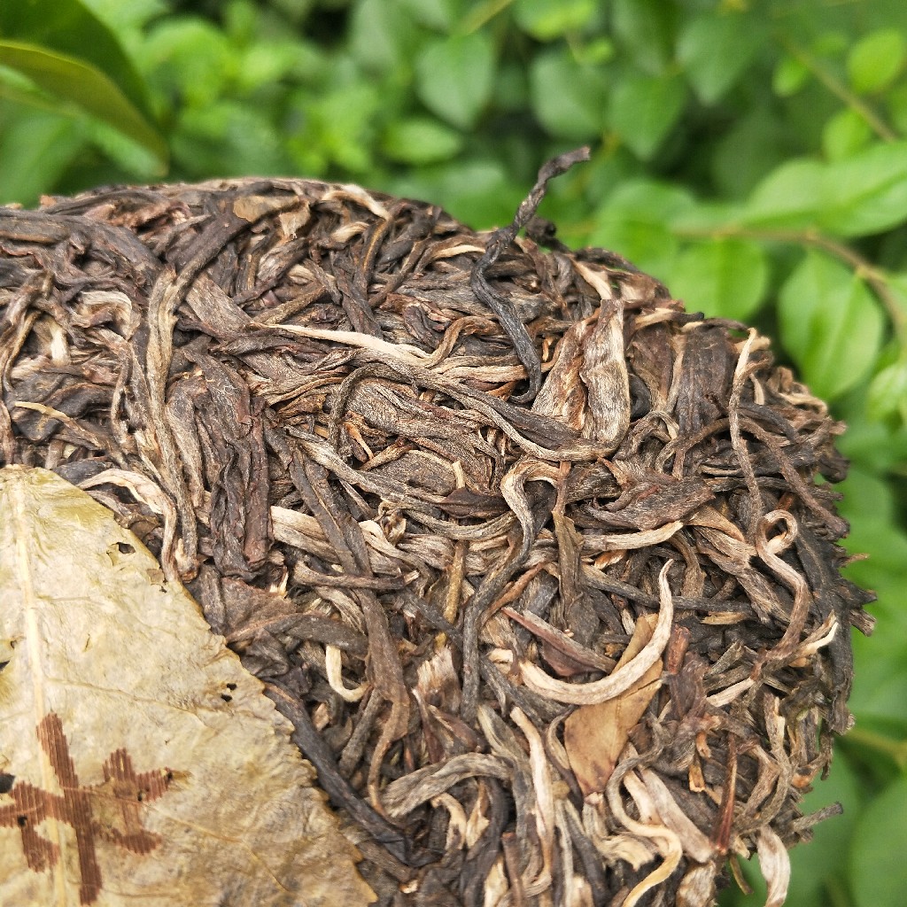 2023年班盆古樹春茶多少錢一公斤？