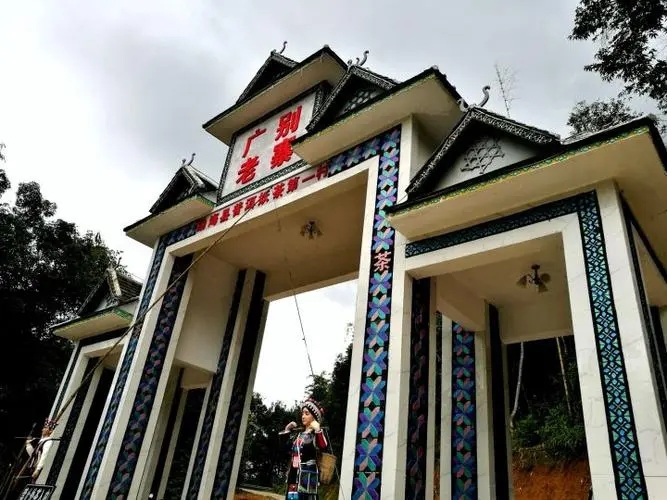 2023年廣別老寨古樹春茶品質(zhì)如何？