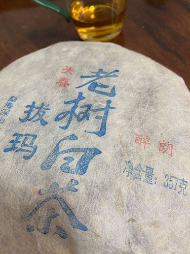 2023年拔瑪老寨古樹春茶口感如何？