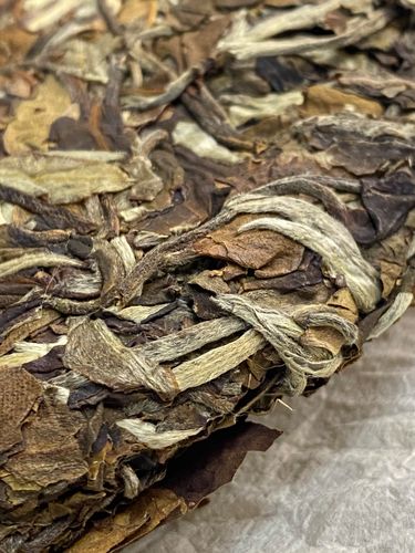 2023年拔瑪老寨古樹春茶特點(diǎn)是什么？